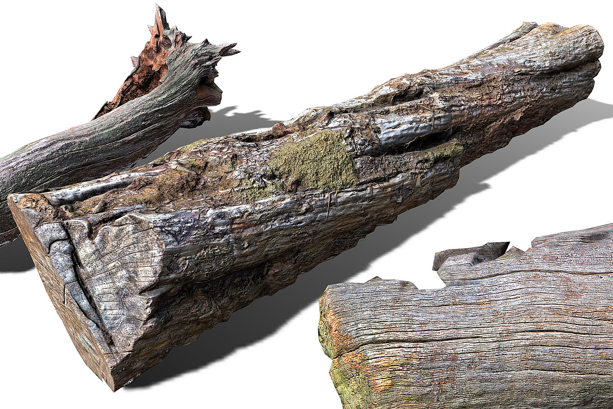 13 Tree Logs, an Environmental 3D Model by Beatheart Creative Studio (Photo 28 of 37)