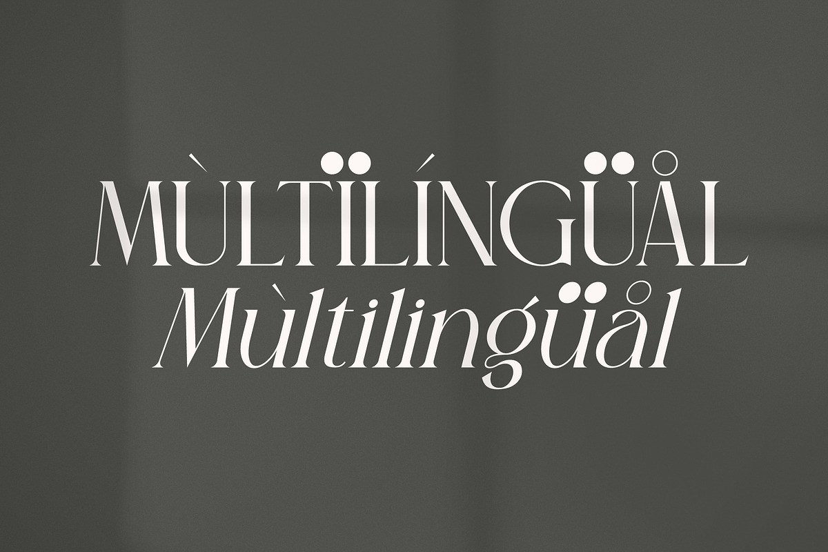 Sagire Modern Serif Font, a Serif Font by Storytype Studio (Photo 12 of 15)