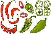 Chilli Papper, a Food Illustration by Elena Mykhailenko (Thumbnail 4 of 4)