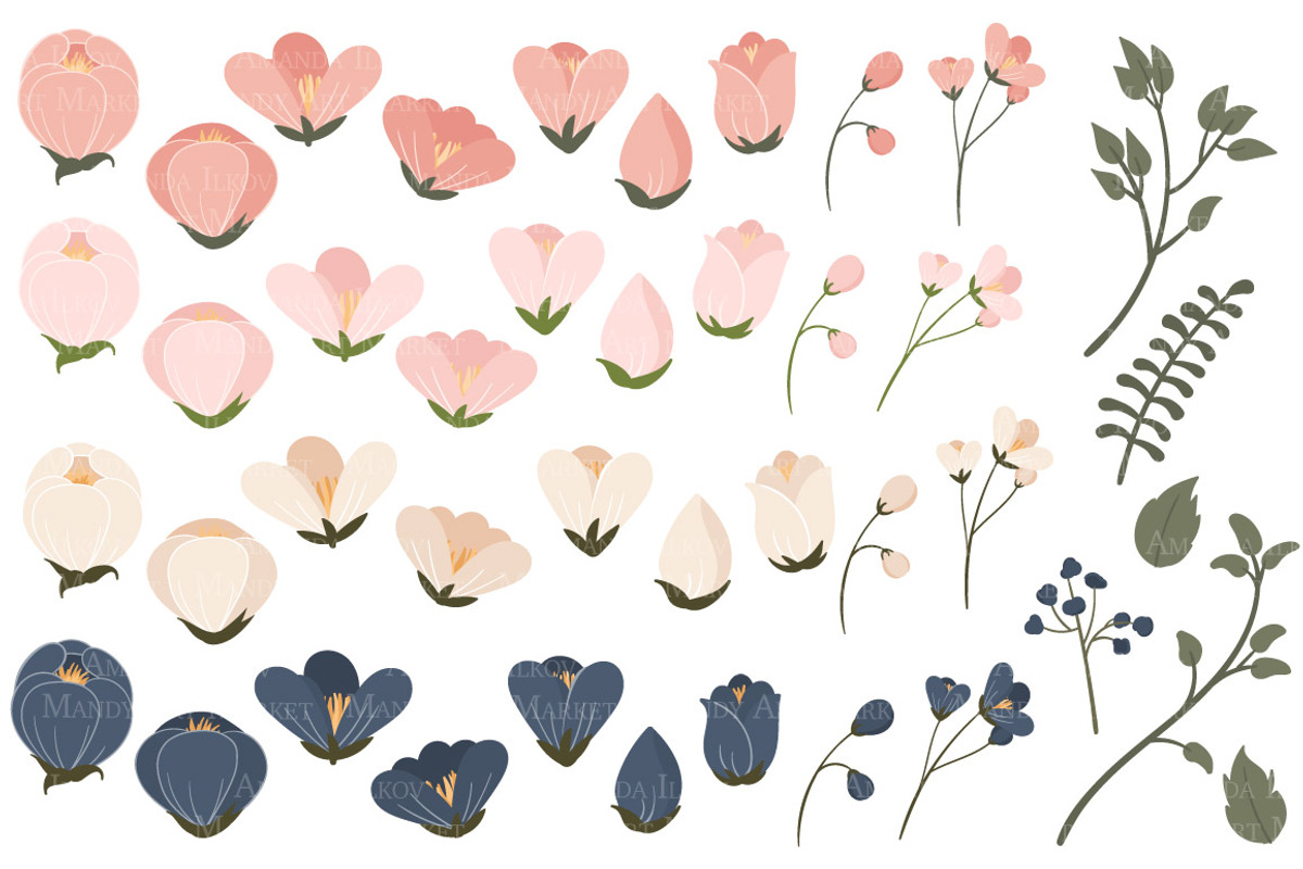 Navy & Pink Floral Clipart & Vectors, an Illustration by Amanda Ilkov (Photo 3 of 3)