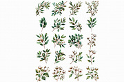 Watercolor Willow Leaves Clipart, an Illustration by Libby Wishes (Thumbnail 3 of 3)
