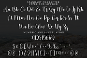 Lovely Chistmas, a Handwritten Font by InermediaSTUDIO (Thumbnail 6 of 8)