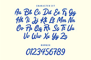 REYAL BEACH | BOLD SCRIPT, a Script Font by Havinkpen (Thumbnail 11 of 14)