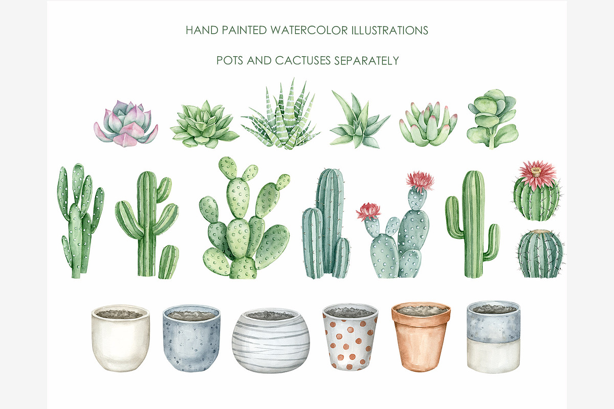 Watercolor cactus clipart, a Decorative Illustration by AquarelleSpace (Photo 4 of 5)