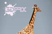 HD_GIRAFFE, an Animal 3D Model by 3DFRX (Thumbnail 2 of 5)