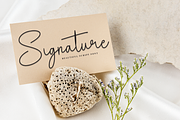 Winter Highland | Script Font, a Handwritten Font by Scratchones (Thumbnail 5 of 8)