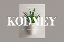 Kodney - Modern Serif Font