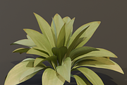 The Haran Bush, a Plants & Tree 3D Model by FuturePastCreatives (Thumbnail 7 of 13)