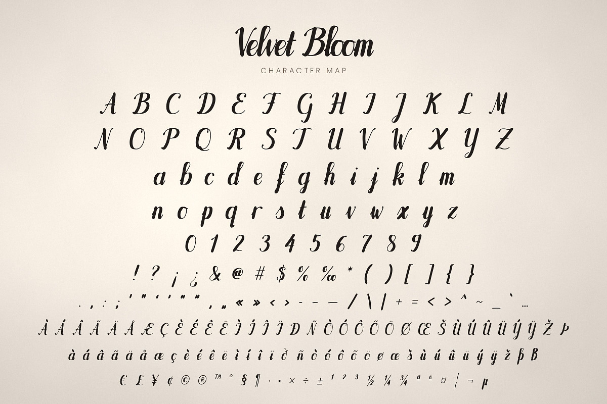 Velvet Bloom – Brush Script Font, a Script Font by vladocar (Photo 2 of 10)
