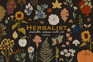 Herbalist - Posters And Pattern