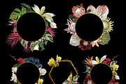 Tropical life. 100+ Parrot & flower, an Illustration by NNclipart (Thumbnail 12 of 14)