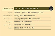 Otsu Slab, a Slab Serif Font by TeGeType foundry (Thumbnail 5 of 6)