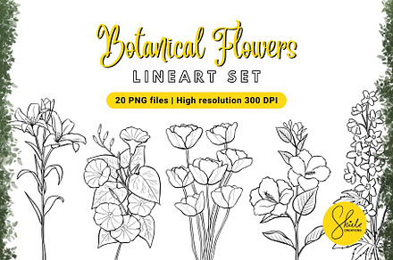 Botanical Flowers - Lineart Set