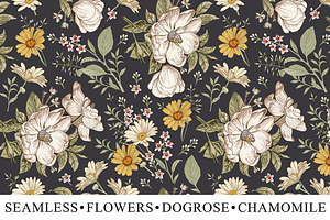 Set Seamless Flowers Dogrose Pattern