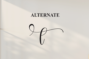 Bestival Script Font