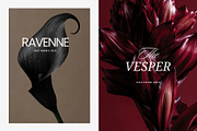 Dark Floral & Mineral Stock Photos, a Nature Photo by Tale.Haus (Thumbnail 8 of 17)