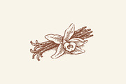 Cacao, vanilla, cinnamon, a Graphic by Irina Trusova (Thumbnail 4 of 4)