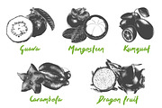 Set of 44 organic food objects, a Decorative Illustration by Akimo Mia (Thumbnail 4 of 10)