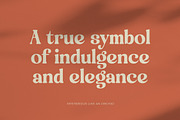 Engray Danton Modern Serif Font, a Serif Font by timelesstype.co (Thumbnail 3 of 20)