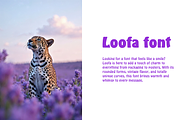 Loofa font-Regular-0120-25, a Font by canve (Thumbnail 2 of 2)