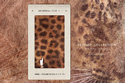 Vestige · Primal Earth Backgrounds, a Background Graphic by alonahaidash (Thumbnail 5 of 16)