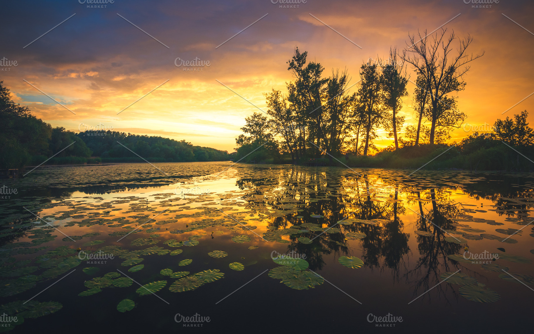 Sunset over the river, a Nature Photo by Mark Borbely