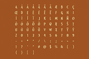 Pumpkin Castle - Display Font, a Font by Studio Moara (Thumbnail 7 of 8)