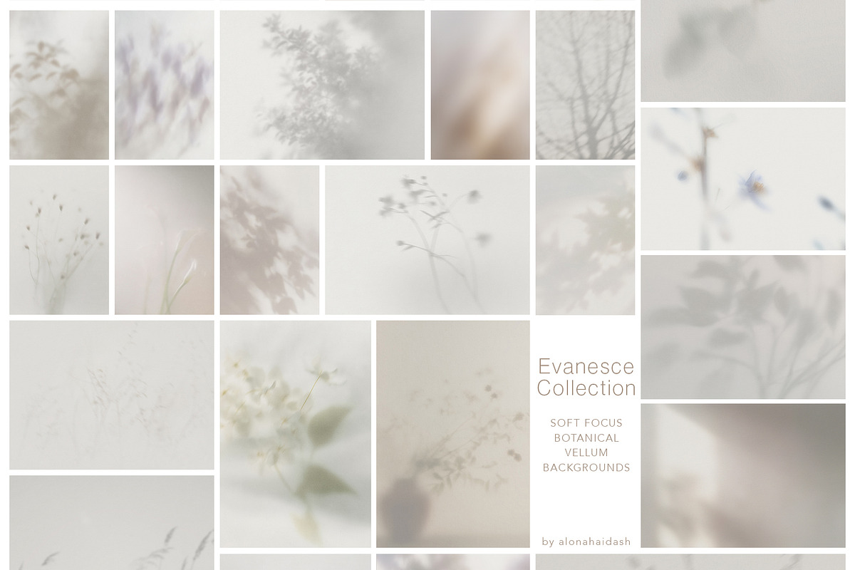 Blur Botanical Vellum Backgrounds, a Background Graphic by alonahaidash (Photo 8 of 14)