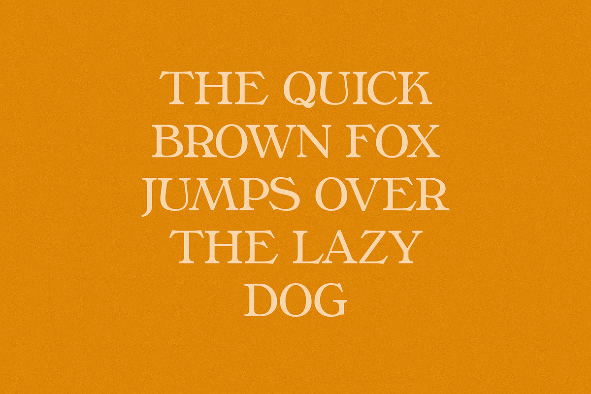 Phaedra // A Retro Serif Typeface, a Serif Font by Megs Lang (Photo 5 of 17)