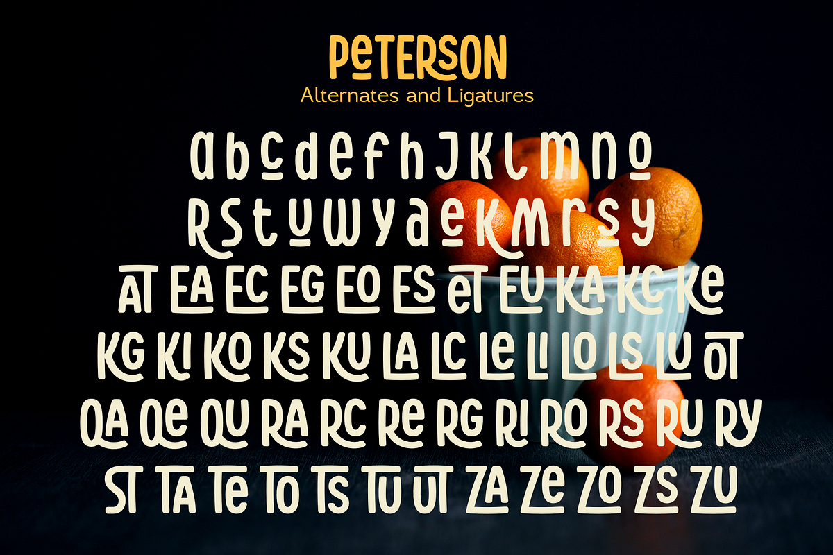 Peterson, a Sans Serif Font by Larin Type Co. (Photo 11 of 11)