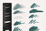 Realistic Procreate Digital Brushes, a Brush Add-On by Shelly Laslo Illustration (Thumbnail 3 of 7)
