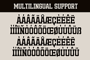 Losver - A Modern Serif, a Serif Font by Marvadesign (Thumbnail 7 of 7)