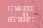 Pluck Font, a Font by Grontype (Thumbnail 3 of 12)