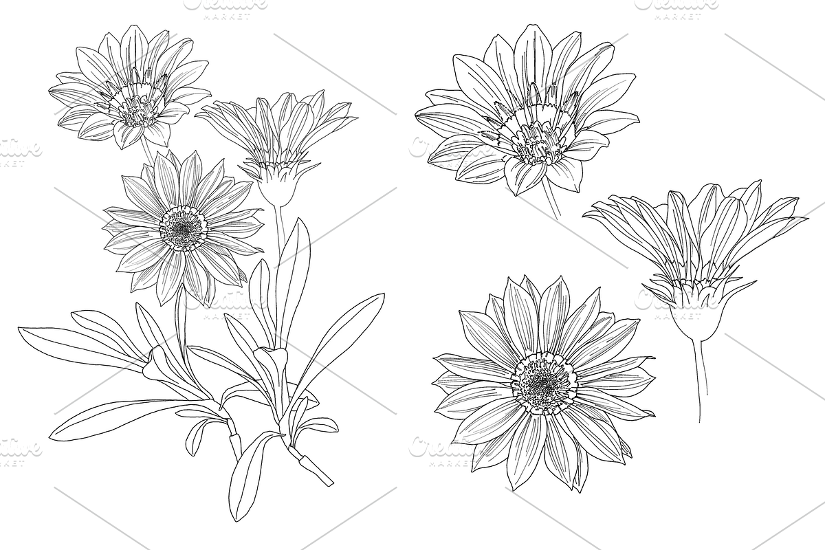 Flowers outlined, an Object Graphic by VictoriaKStudio (Photo 2 of 4)