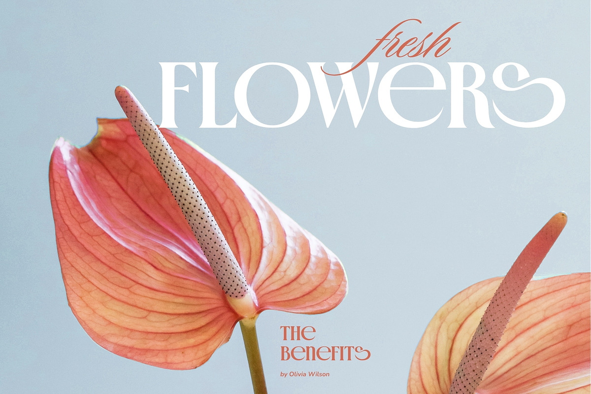 Crown Majestic Elegant Serif Font, a Serif Font by Heinzel Std (Photo 12 of 18)