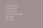 Claro - Elegant Font Family, a Sans Serif Font by AndrewPixelType (Thumbnail 12 of 14)