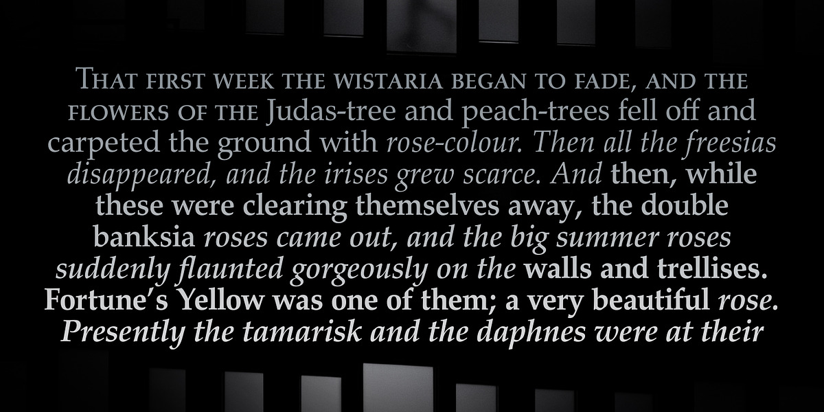 Palladio FS, a Serif Font by FontSite Inc. (Photo 2 of 2)