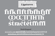 Grabag, a Serif Font by Differentialtype (Thumbnail 9 of 10)