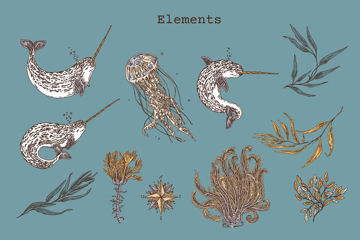 Narwhals. Seamless patterns., a Pattern Graphic by Kseniakrop (Photo 7 of 7)