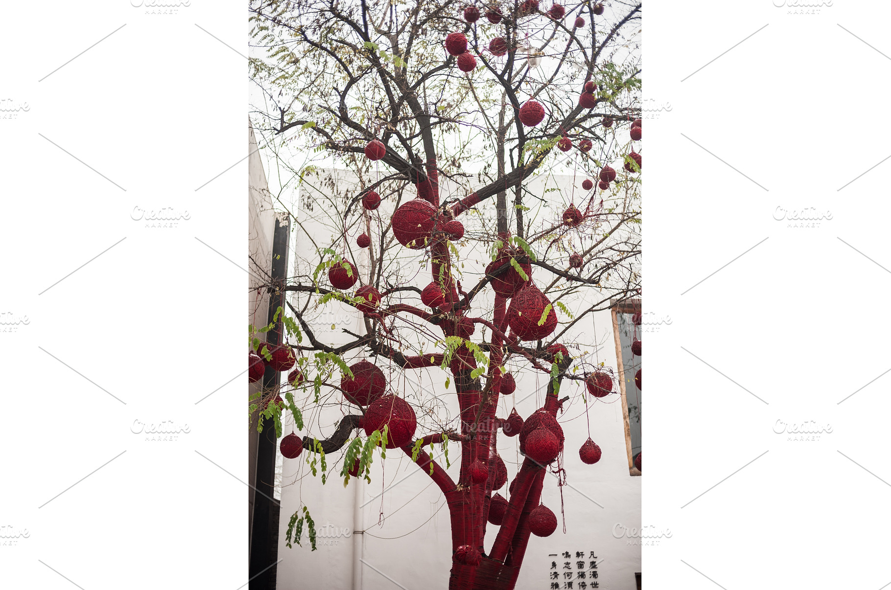 Tree decorated with red balls, the, a Holiday Photo by Elizaveta Galitskaya