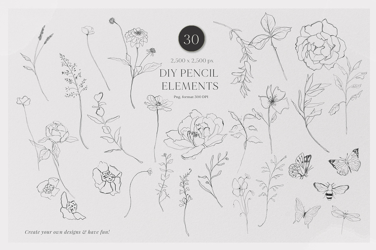 PENCIL ART- Floral line collection, an Illustration by Grace Noboa Illustrations (Photo 7 of 12)