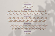 Dianthus Maiden Typeface, a Script Font by alit design (Thumbnail 14 of 17)