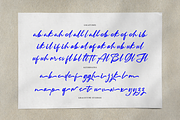 Simply Addiction Brush Handwritten, a Script Font by gracetype_studio (Thumbnail 12 of 12)