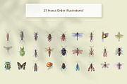 Hand Painted Insect Set, an Education Illustration by The Curio Cabinet (Thumbnail 5 of 7)