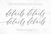 Frances | Modern Calligraphy Script, a Script Font by Pink Coffie (Thumbnail 4 of 11)