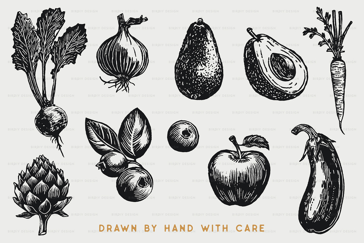 Fruit and Vegetable Illustrations, a Food Illustration by BirDIY Design (Photo 4 of 10)