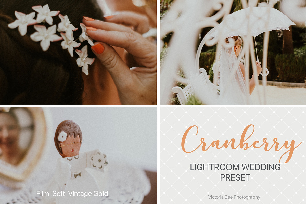 Desktop Lightroom Presets CRANBERRY, a Plug-in Add-On by Victoria Bee Presets (Photo 12 of 29)