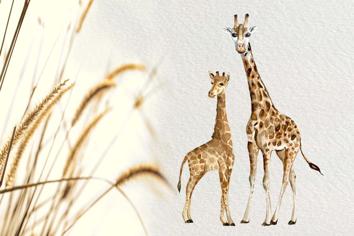 Watercolor Giraffes Clip Art Set, an Animal Illustration by Tati Bordiu (Photo 3 of 4)