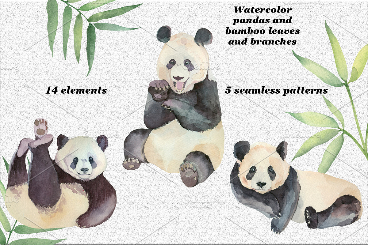 Set of watercolor pandas and bamboo, an Animal Illustration by Watercolor arts (Photo 1 of 3)