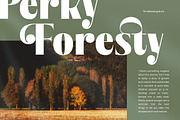 Bistika Modern Display Serif, a Serif Font by timelesstype.co (Thumbnail 5 of 20)